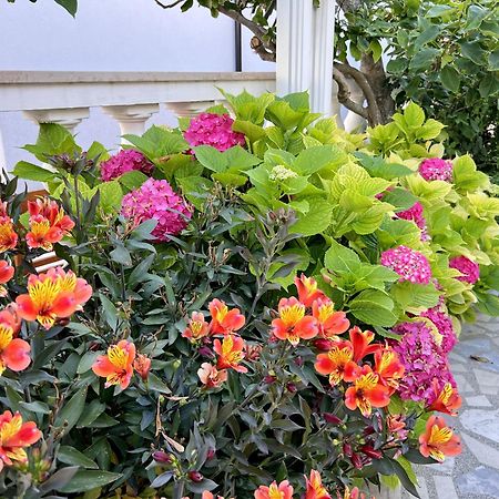 Bed & Breakfast Rab Palit Экстерьер фото