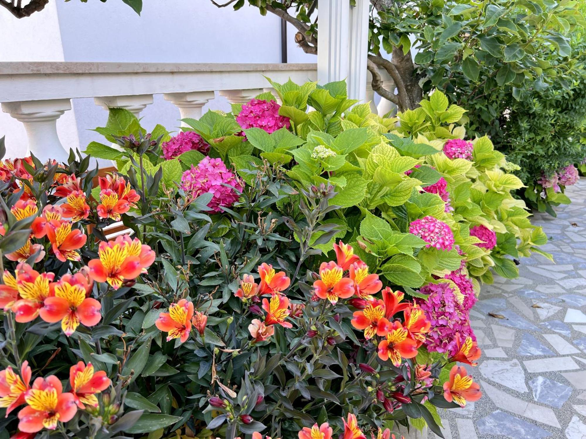 Bed & Breakfast Rab Palit Экстерьер фото