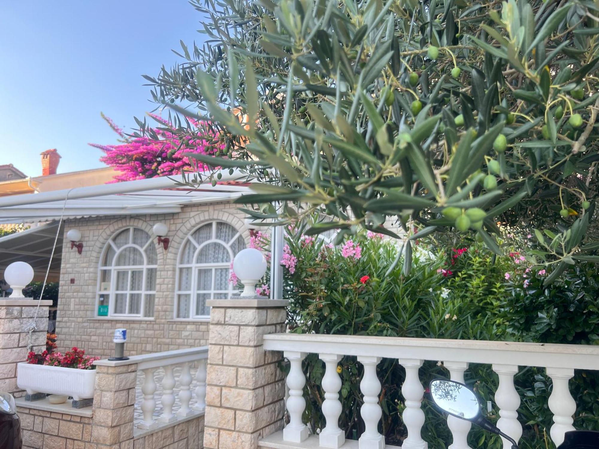 Bed & Breakfast Rab Palit Экстерьер фото